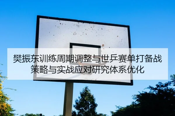 樊振东训练周期调整与世乒赛单打备战策略与实战应对研究体系优化（PG）